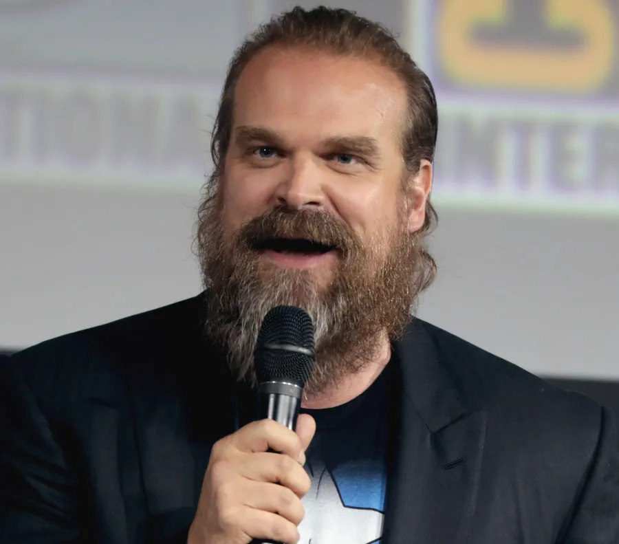 David Harbour before weight loss