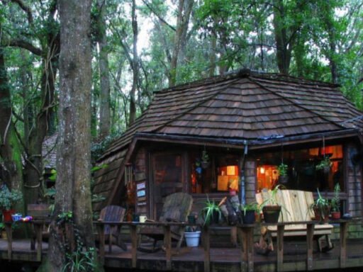 The Hostel in the Forest Recipes - Detailed Guidelines